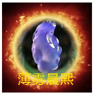 人间某处主播照片