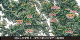实力决定话语权主播照片
