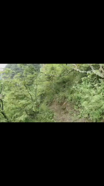 风景秀丽江山如画