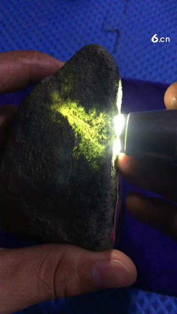 莫西沙全赌料，种老水长
