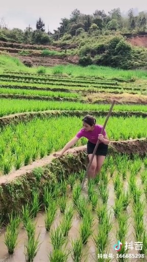 这就是农民的节奏