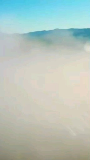 木耳