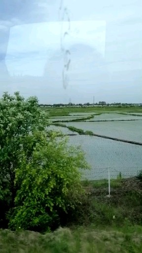 黑土地
