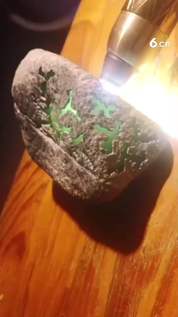 每日新料分享