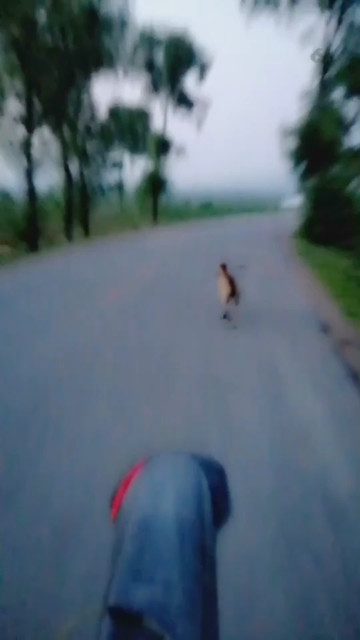 上来