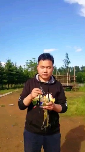 伊纯爱上蜜配粽子