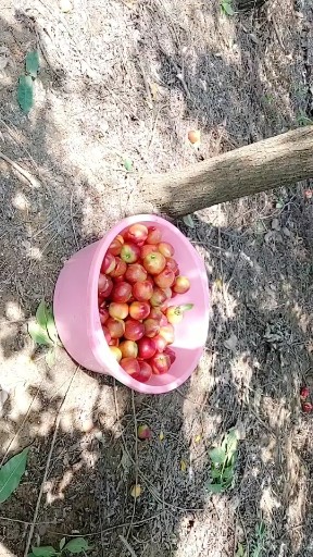 下午帮忙干活，晚点回去看时间播