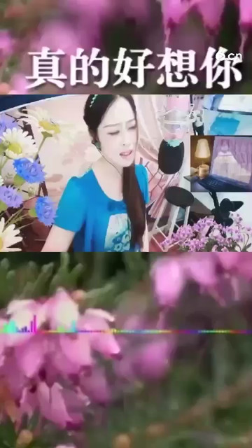 经典歌曲 真的好想你