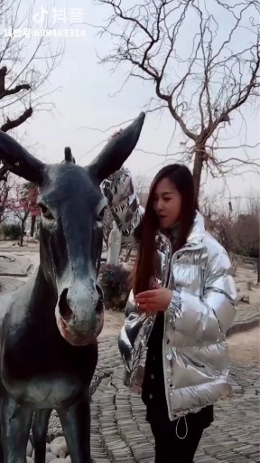 迷茫的爱