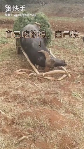 你不是从前的你Y