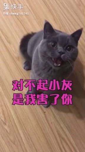 多么痛的领悟