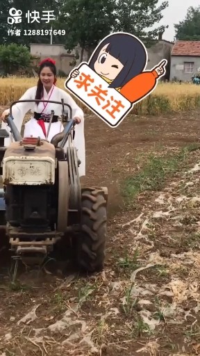 干就完了