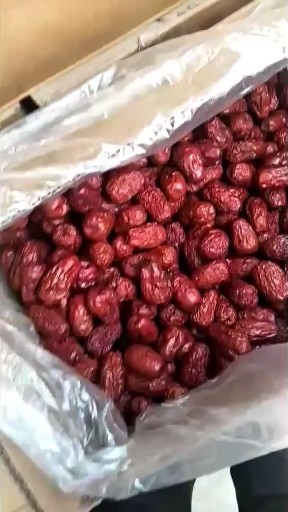 新疆和田大枣。