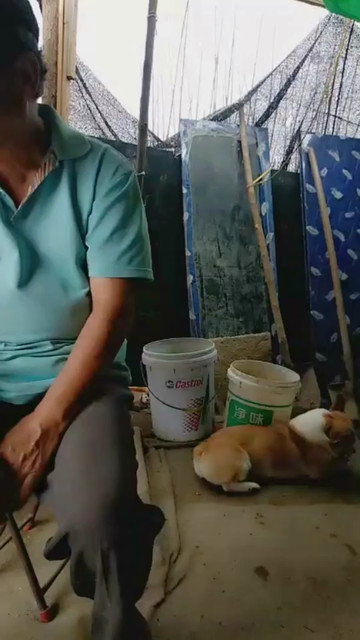一百元少了一千呢