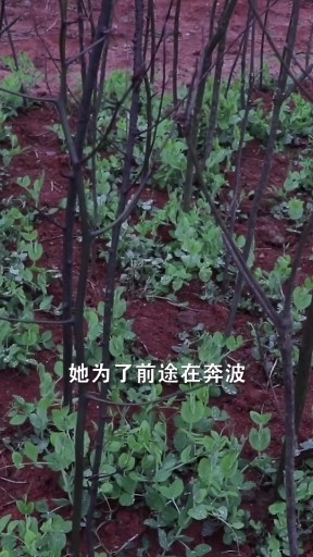 狱中十二月改版