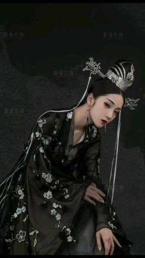 阜阳工笔画写真-阜阳全家福