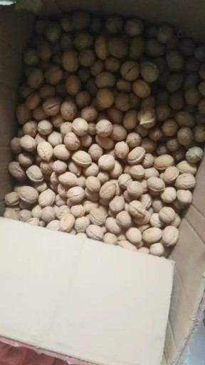 新疆特产。
