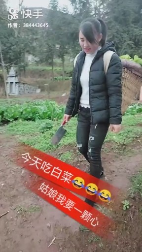 风筝误