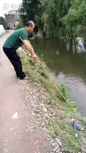 离别两依依