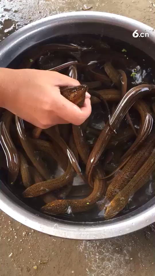 童年的樂趣！