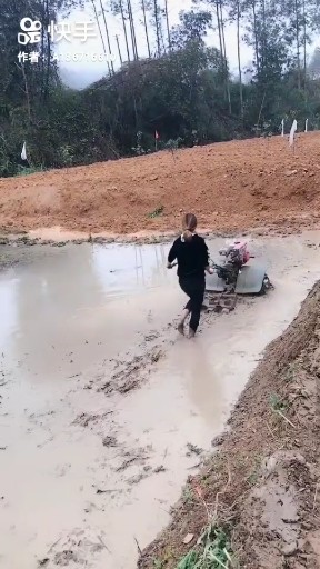 皇朝中我指鹿为马