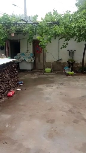 快点进来哦