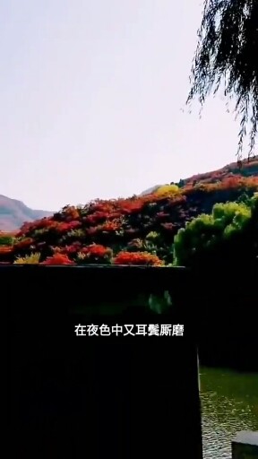 陪你一起去西和县