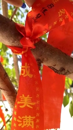 求姻缘祝福我吧嘿嘿😁