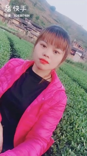 茶乡妹子