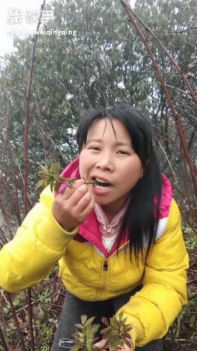 可不可以勇敢