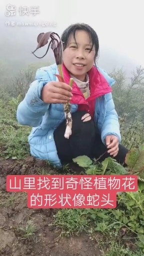 黎明前的黑暗
