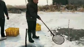 打鱼