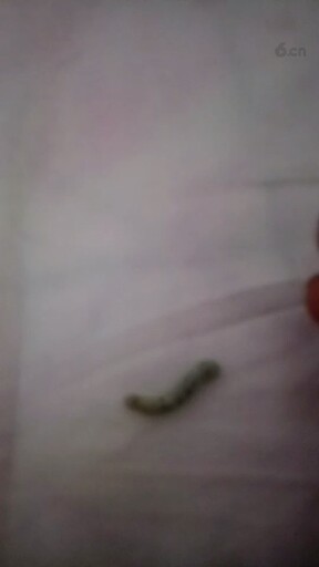 太少，我到了。