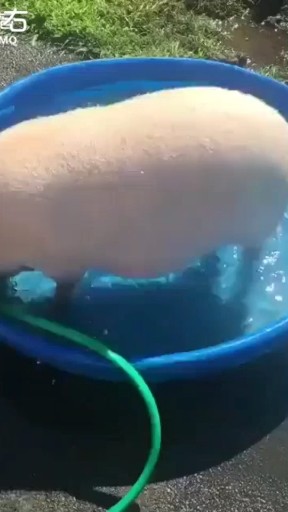 有缘再见☺☺☺
