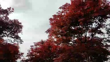 😍😍😍