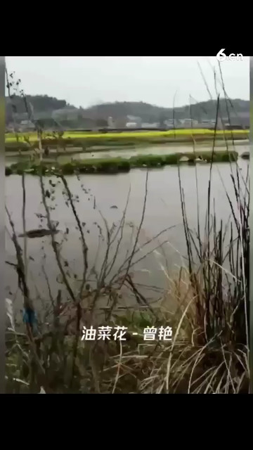 风景就在眼前