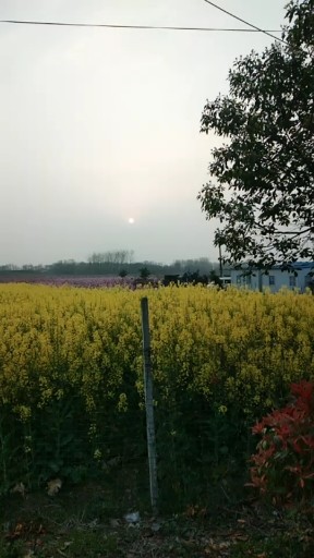 风景甚好……心情也好