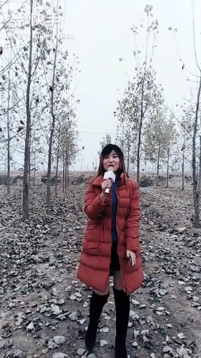 军中绿花