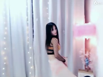 网衣