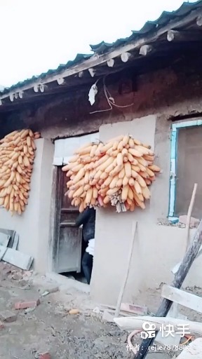 阳光温暖