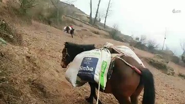看看还可以