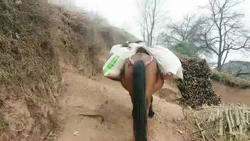 马陀人扛