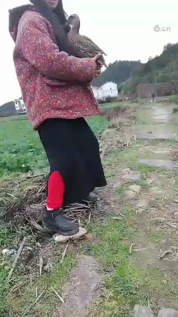 😂飞了