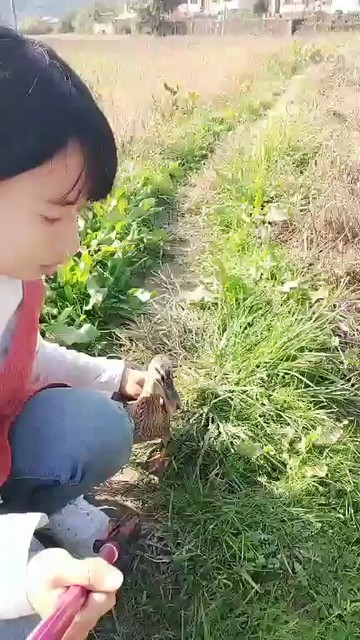 出去玩了