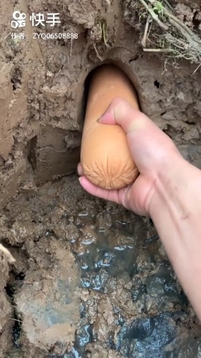 你见过吗