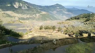 云南红河梯田