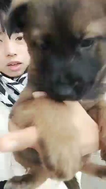😂