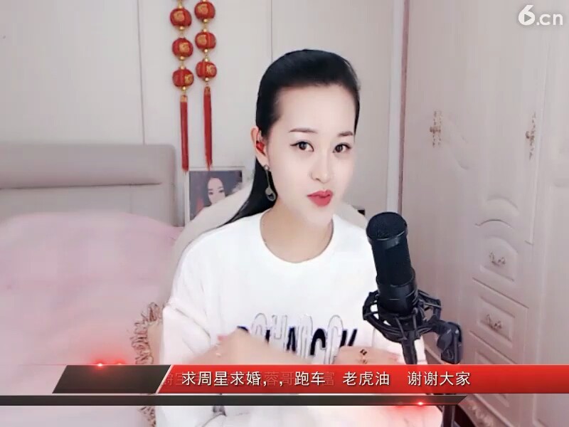 沙漠骆驼