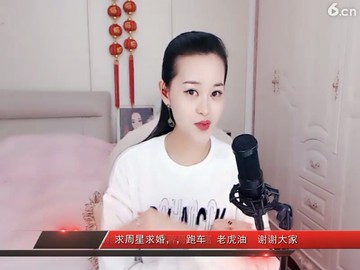沙漠骆驼