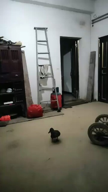😂